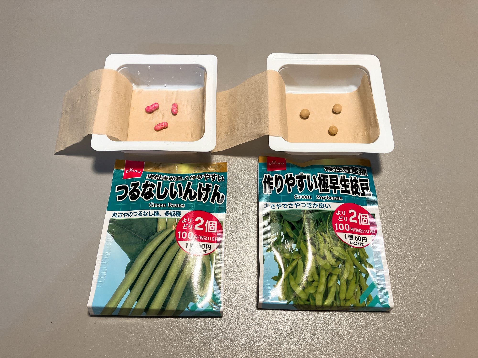 インゲン豆と枝豆を育てたかった