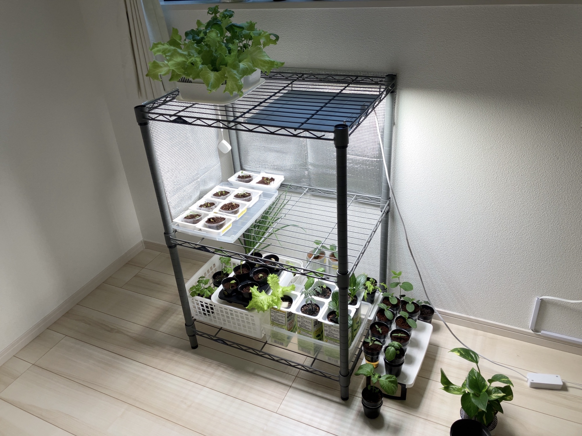 体調不良でも室内栽培なら体に優しい